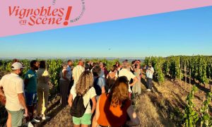 Rando Wine au Domaine François Grenier_Champagne