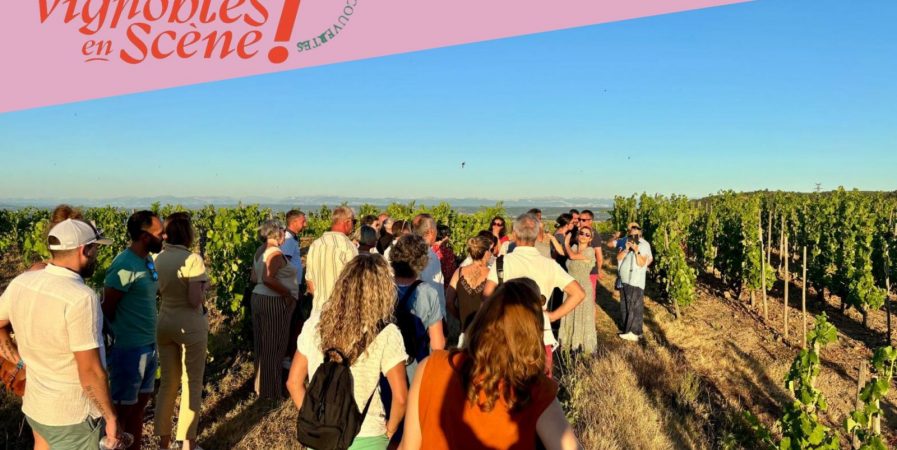 Rando Wine au Domaine François Grenier