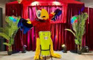 33339244-diaporama