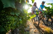 Vignobles en Scène – Saveurs et rencontres festives dans les vignobles ardéchois_Tain-l’Hermitage