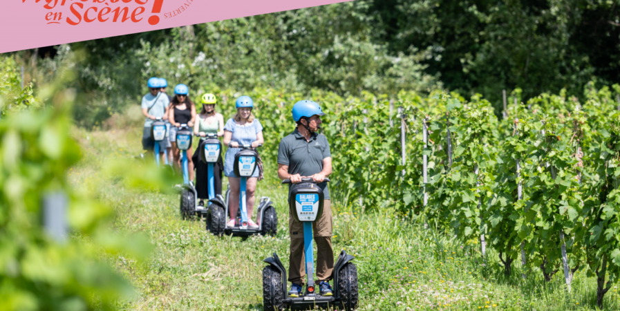 Balade en gyropodes dans les vignobles