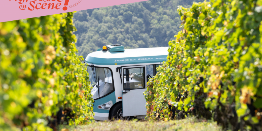 Côte-Rôtie Tour de Vignobles en Scène