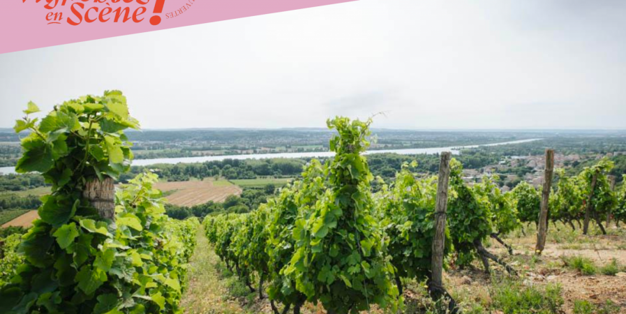 Wine Notes au Domaine Anthony Paret