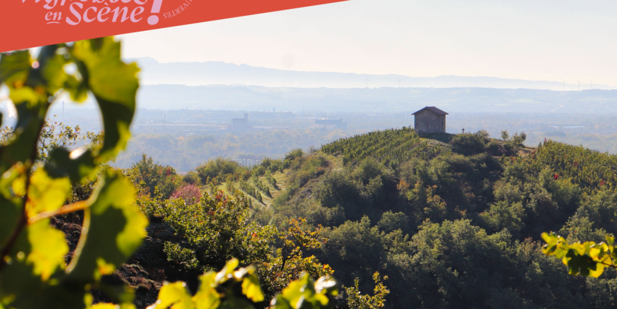 Échappée gourmande dans les vignes – Domaine Anthony Paret