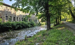 Balade contée – Dans la rivière  il y a des requins des poissons et des canards…_Annonay