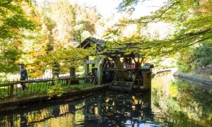Visite du Moulin du Pinard – Journées du Patrimoine_Saint-Julien-du-Pinet