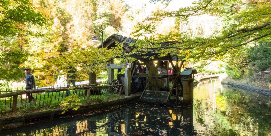 Visite du Moulin du Pinard – Journées du Patrimoine