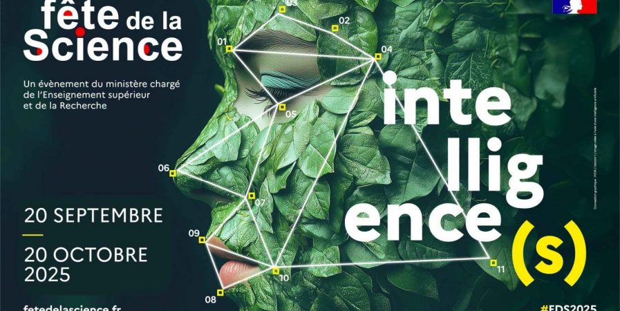 Spectacle – Doutes en rond