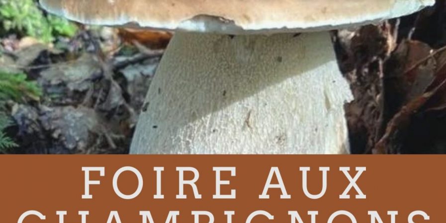 Foire aux champignons de La Chaise-Dieu