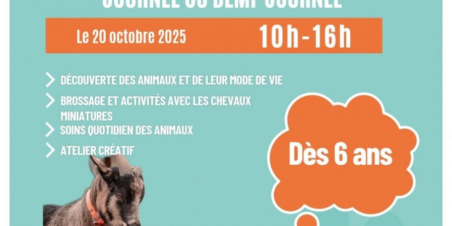 Petits soigneurs d’un jour à la ferme pédagogique