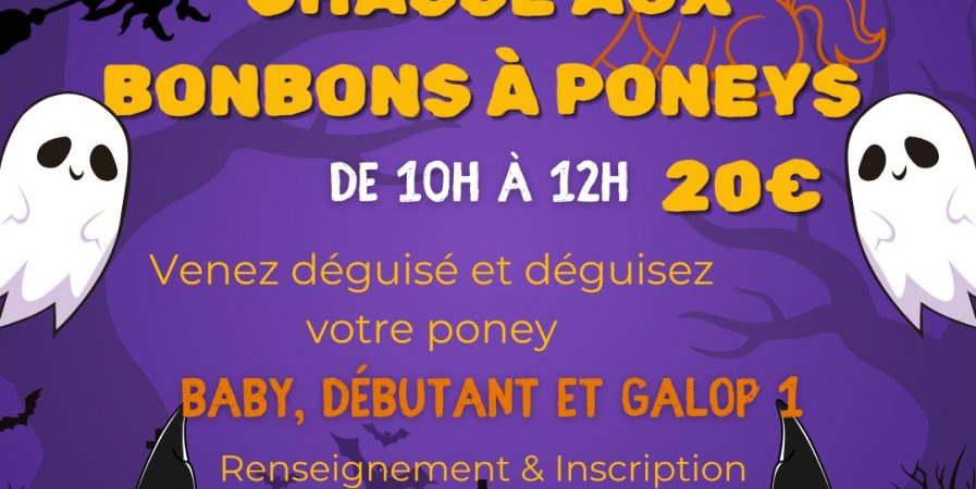 Chasse aux bonbons en poney