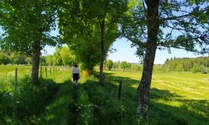 Randonnée pédestre et VTT_Montfaucon-en-Velay