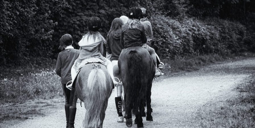 Initiation et promenade à poney au Ranch le Montana