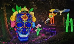 5ème Festival Lumières Sauvages_Peaugres