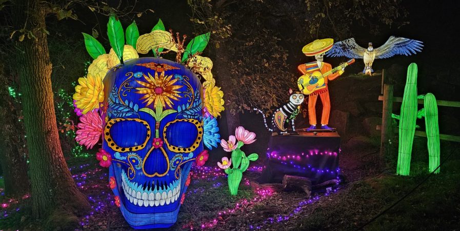 5ème Festival Lumières Sauvages