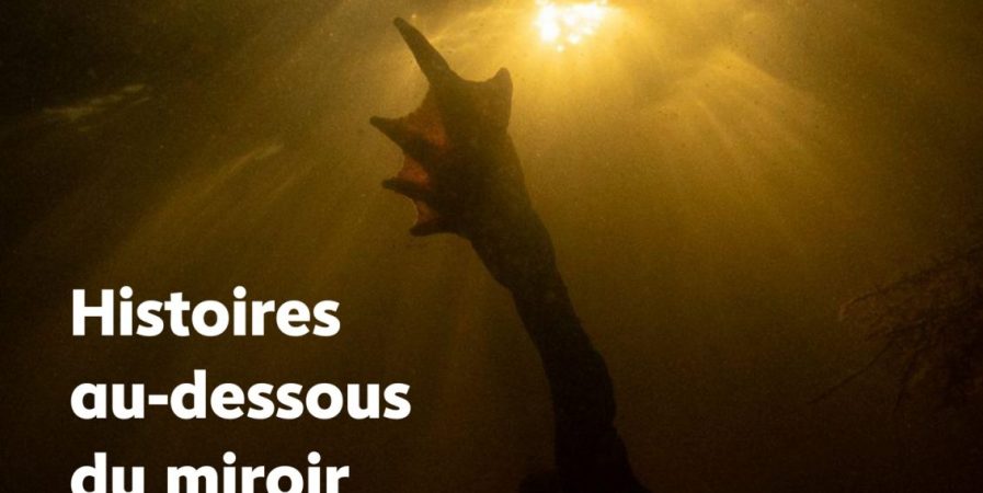 Histoires au-dessous du miroir…