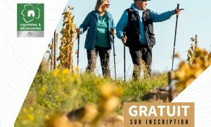 Balade découverte des vignobles de Chavanay_Chavanay