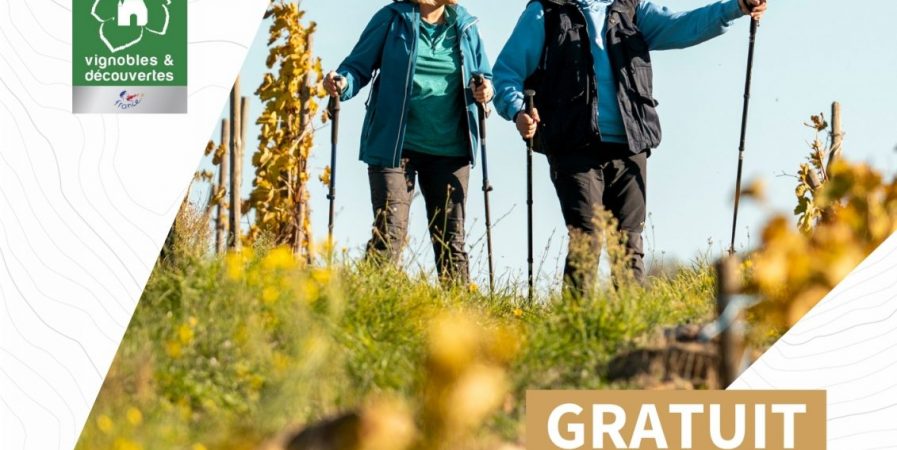 Balade découverte des vignobles de Chavanay