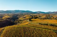 Balade découverte des vignobles de Chavanay_Chavanay