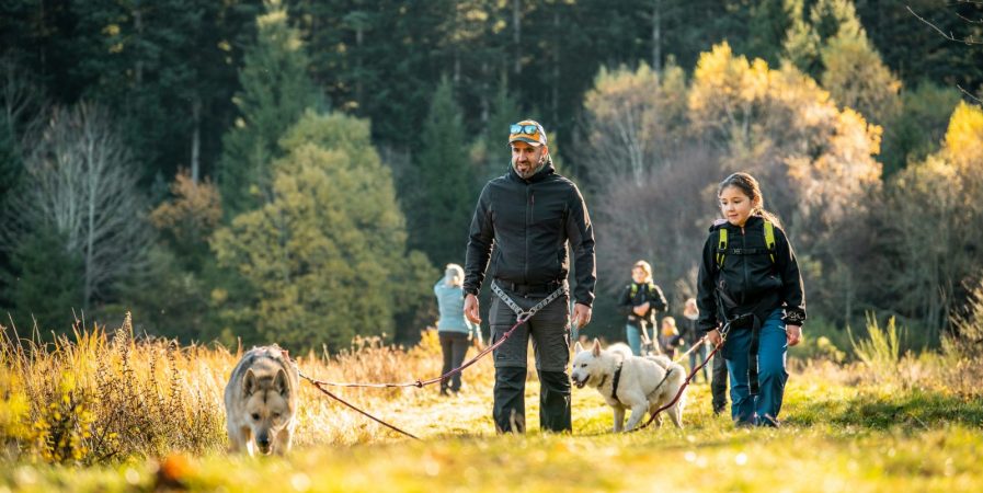 Hiver 2025/2026 – Bougez dans le Pilat – Cani-randonnée (à partir de 8 ans) – Saint-Régis-du-Coin