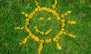 La Bio dans les Etoiles 2026_Annonay