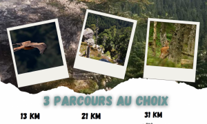 Sortie équestre « Beau dimanche en forêt de Taillard »_Burdignes