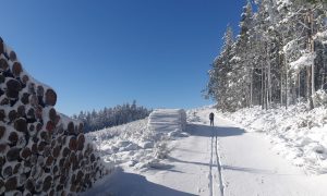 Domaine Nordique de Burdignes_Burdignes