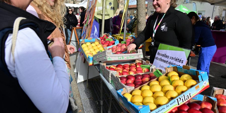 Fête de la Pomme