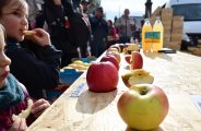 Fête de la Pomme_Pélussin