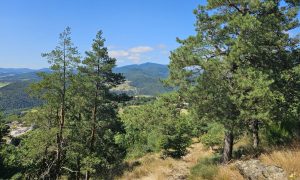 Sortie Petit trappeur_Annonay