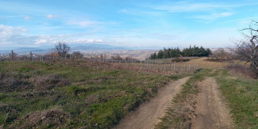 Marche – Sou&rsquo;s tous les vents