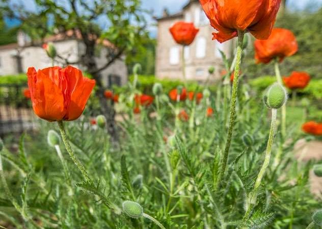Journée Européennes du Patrimoine: visite du Parc et Jardins du château de Figeon