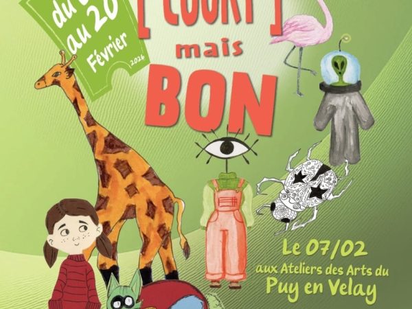 Festival d&rsquo;animation « Court Mais Bon »