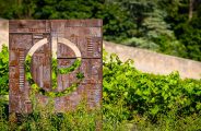 Visite et dégustation au domaine Clos du Paradis_Espaly-Saint-Marcel