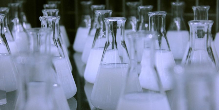 Exposition – Bizarre