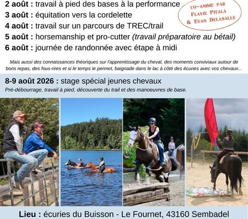 Stage équitation
