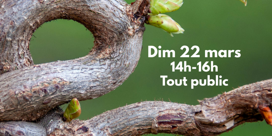 Les Ateliers des Babets : balade d&rsquo;Ostara