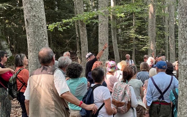 Lectures sous l&rsquo;arbre