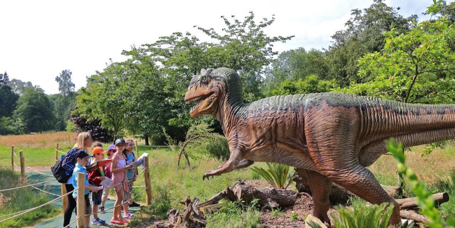 Sur les traces des géants disparus