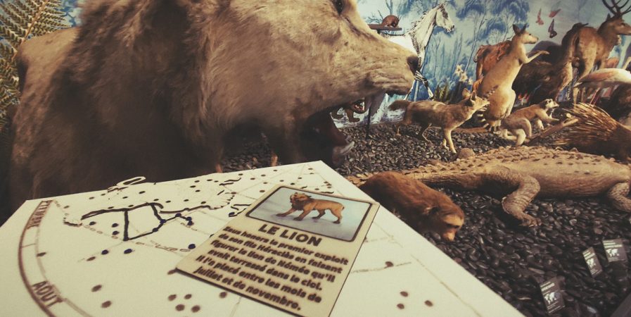 Fête Mondiale du Jeu