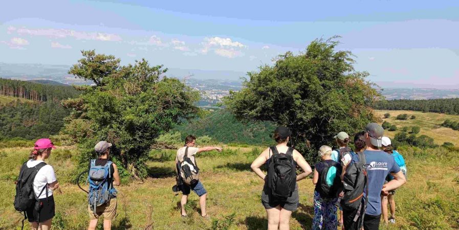 Les rendez-vous nature : Salvaris, un écrin naturel aux portes de Saint-Étienne