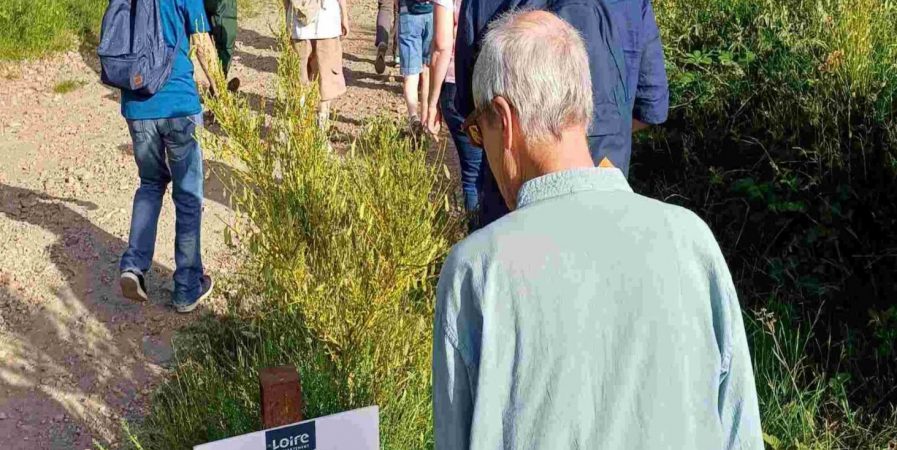 Les rendez-vous nature : MaRando Quiz