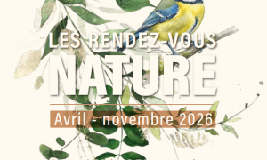 Les rendez-vous nature : Une nuit avec les papillons_Rochetaillée