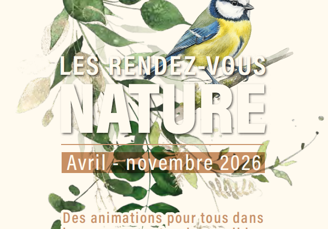 Les rendez-vous nature : Une nuit avec les papillons