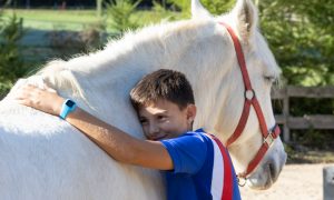 atelier de médiation équine: au coeur de la relation_Raucoules
