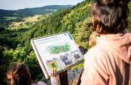 Sentier d&rsquo;interprétation de la Tortue – boucle de 700m_Bourg-Argental
