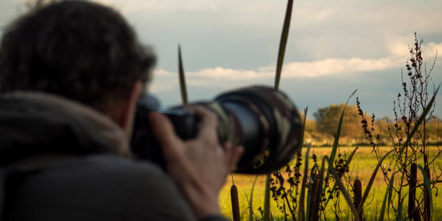 Visite & atelier photo : Photographier les mondes de l&rsquo;eau