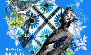 Festin Musical de Canticum Novum_Sainte-Croix-en-Jarez