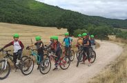 VTT Groupe