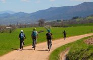 VTT GR3